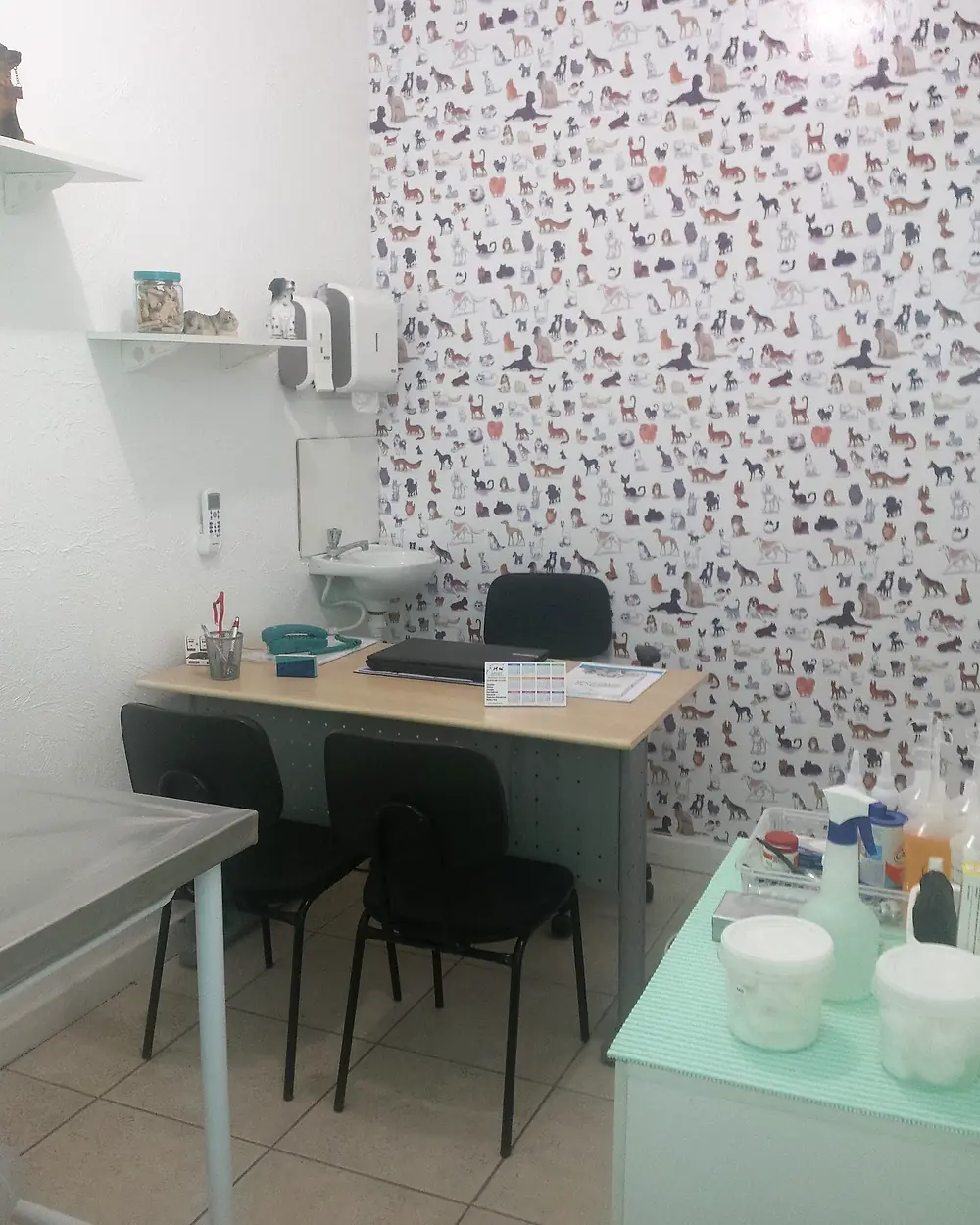 Consultório do Cemevi, com mesa de atendimento e parede decorada com desenhos de cães e gatos