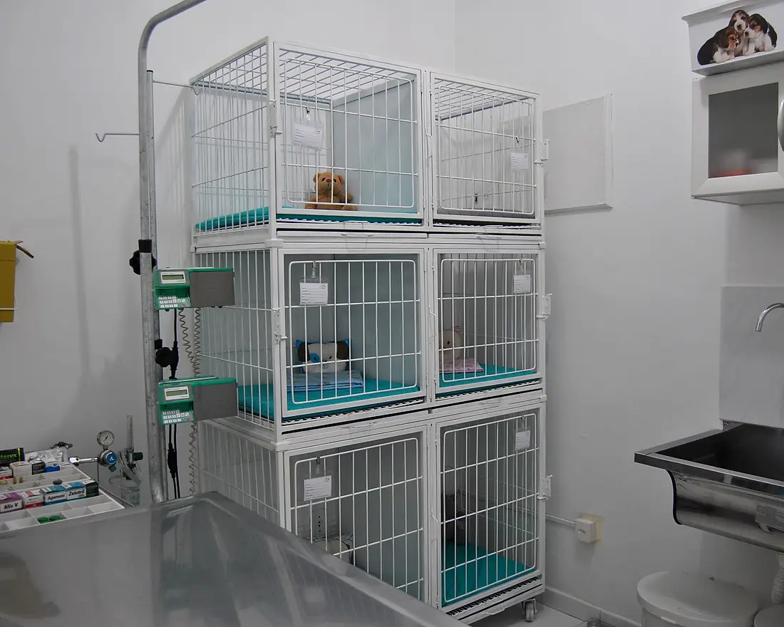 Sala de internação do Cemevi, com baias individuais e mesa de procedimentos